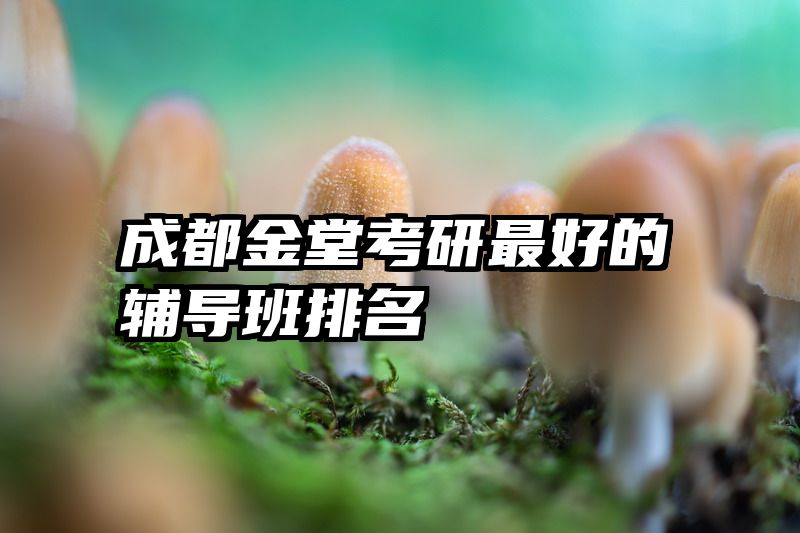 成都金堂考研最好的辅导班排名