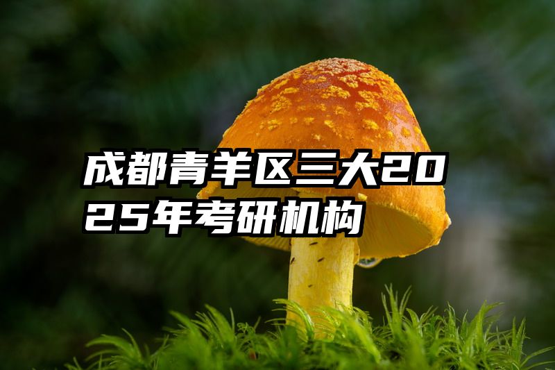 成都青羊区三大2025年考研机构