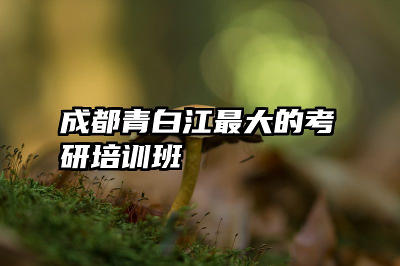 成都青白江最大的考研培训班