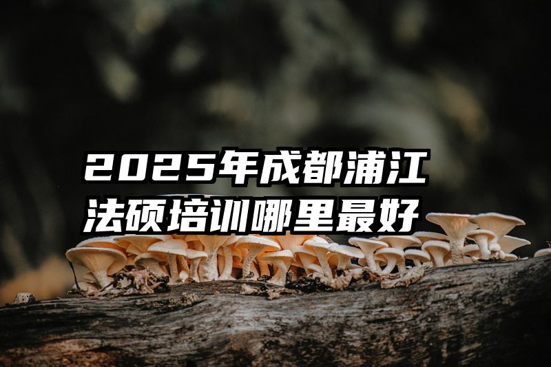2025年成都浦江法硕培训哪里最好
