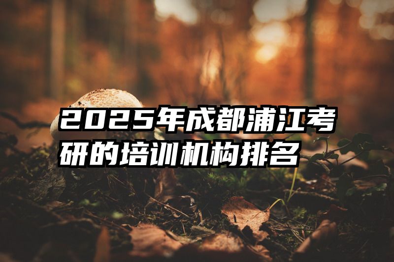 2025年成都浦江考研的培训机构排名