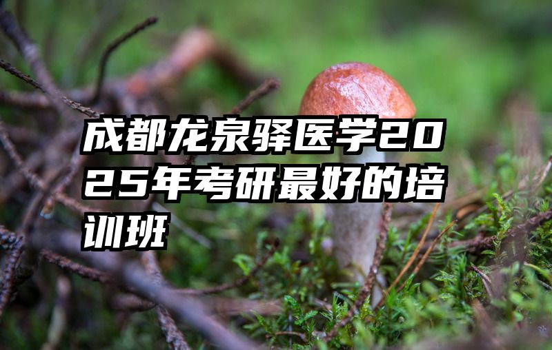 成都龙泉驿医学2025年考研最好的培训班