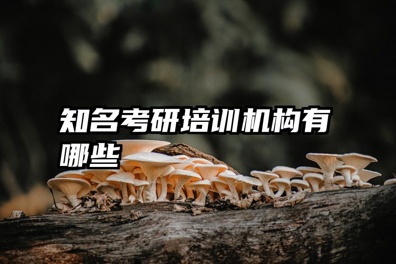 知名考研培训机构有哪些