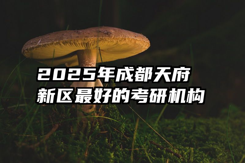2025年成都天府新区最好的考研机构