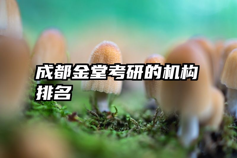 成都金堂考研的机构排名