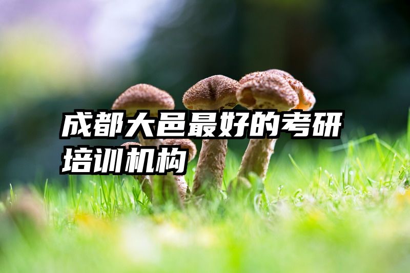 成都大邑最好的考研培训机构