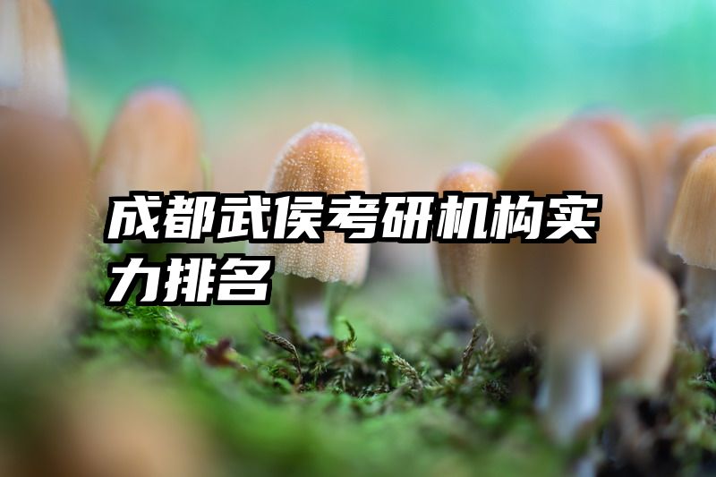 成都武侯考研机构实力排名