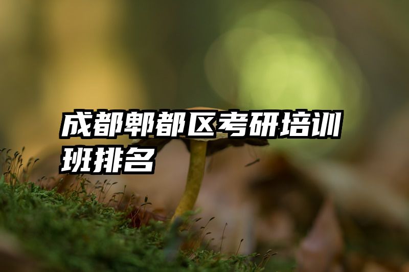 成都郫都区考研培训班排名