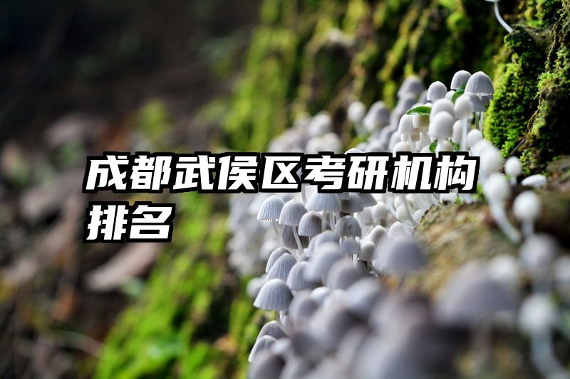 成都武侯区考研机构排名
