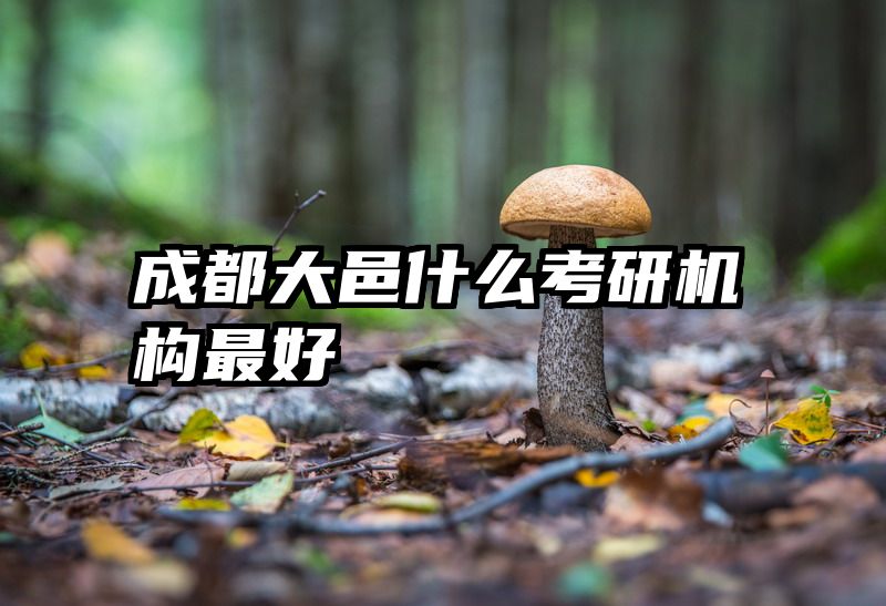 成都大邑什么考研机构最好