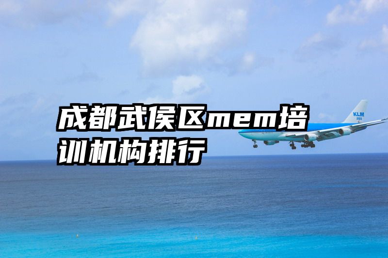 成都武侯区mem培训机构排行