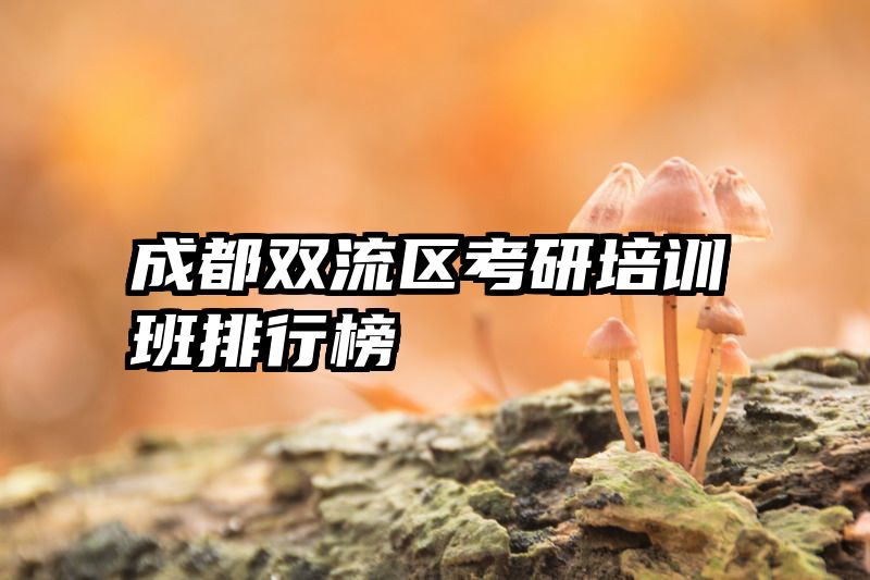 成都双流区考研培训班排行榜