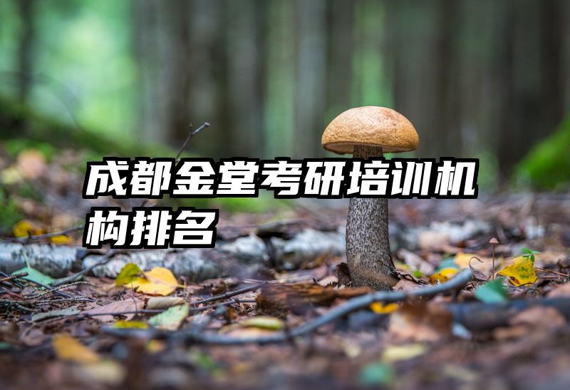 成都金堂考研培训机构排名