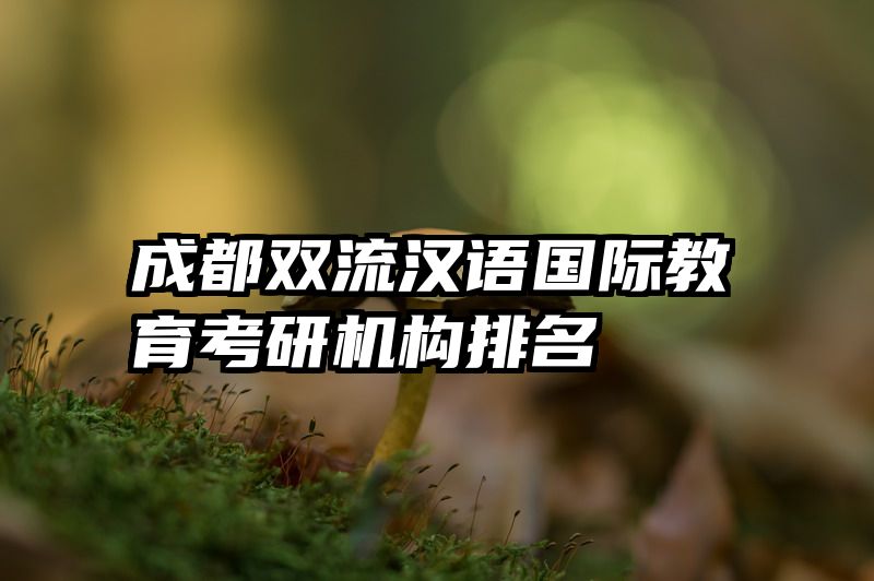 成都双流汉语国际教育考研机构排名
