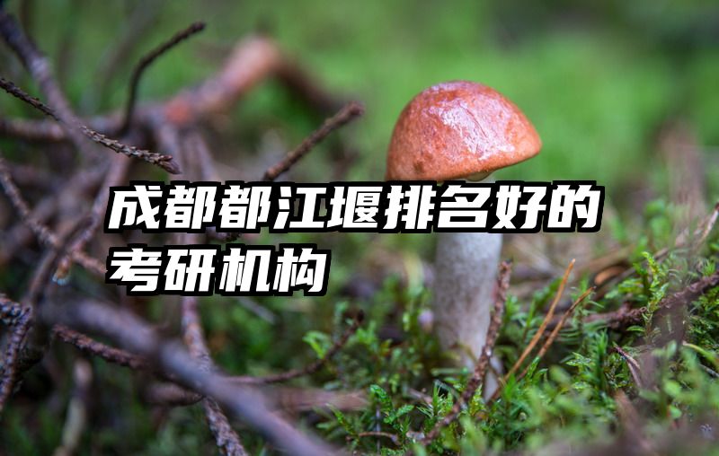 成都都江堰排名好的考研机构