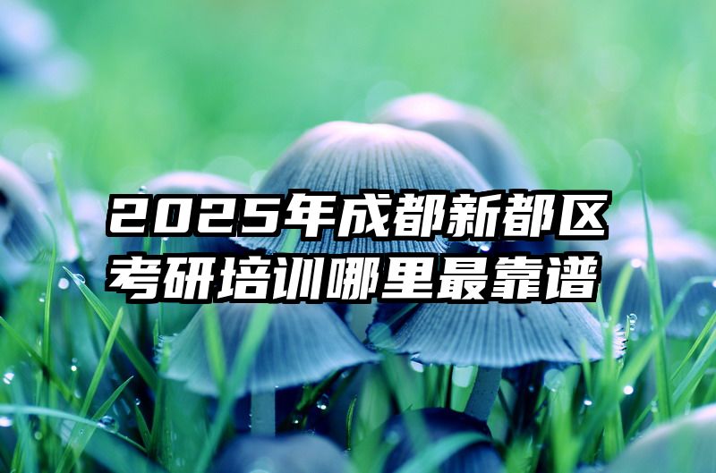 2025年成都新都区考研培训哪里最靠谱