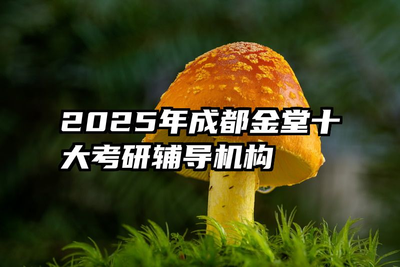 2025年成都金堂十大考研辅导机构
