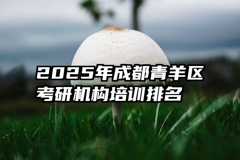 2025年成都青羊区考研机构培训排名