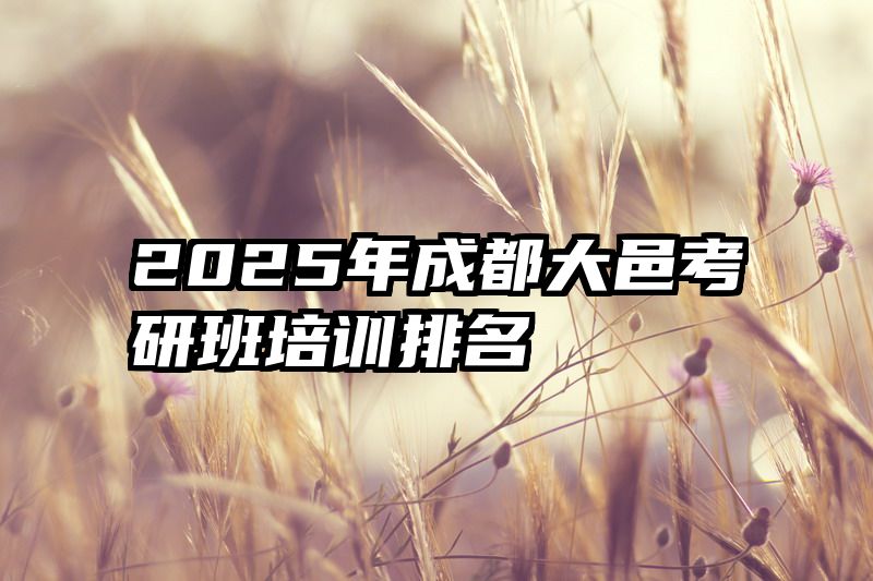 2025年成都大邑考研班培训排名