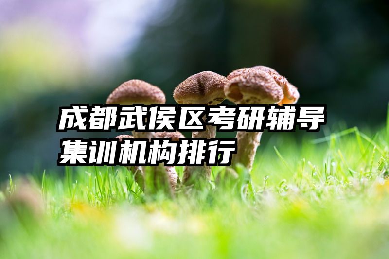 成都武侯区考研辅导集训机构排行