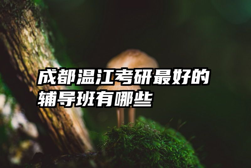 成都温江考研最好的辅导班有哪些