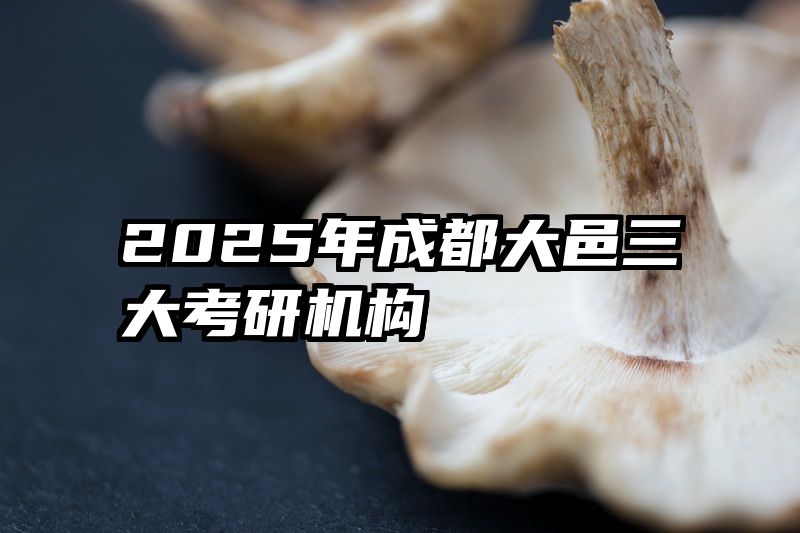 2025年成都大邑三大考研机构