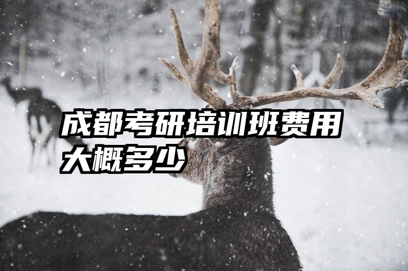 成都考研培训班费用大概多少