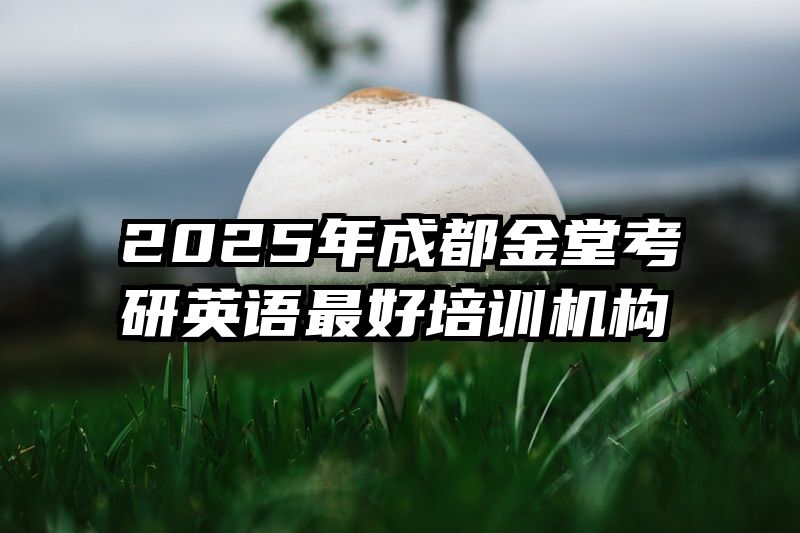 2025年成都金堂考研英语最好培训机构