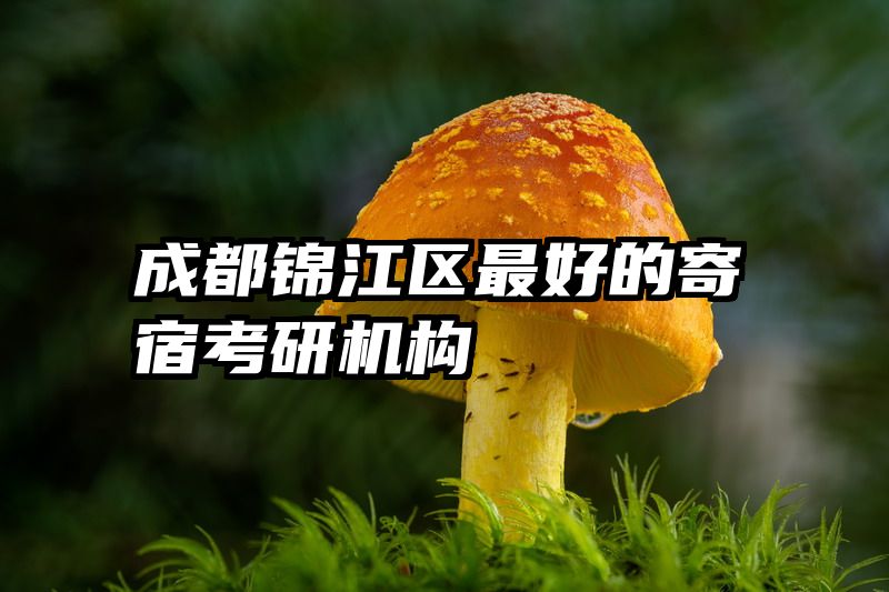 成都锦江区最好的寄宿考研机构