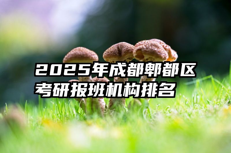 2025年成都郫都区考研报班机构排名