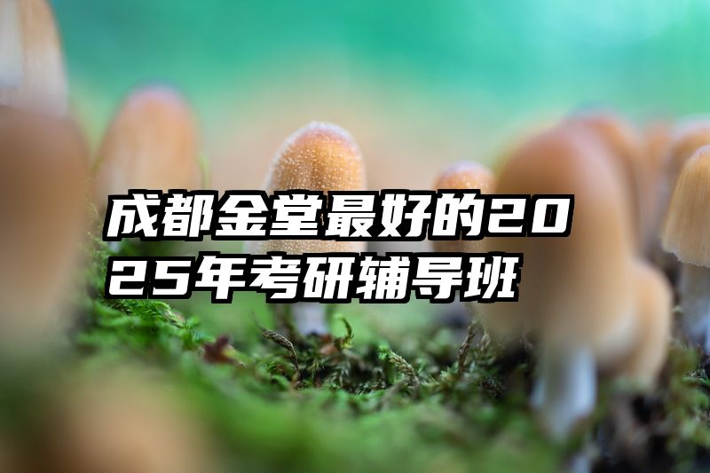 成都金堂最好的2025年考研辅导班