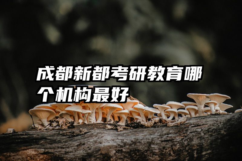 成都新都考研教育哪个机构最好