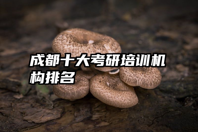 成都十大考研培训机构排名