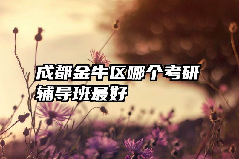 成都金牛区哪个考研辅导班最好