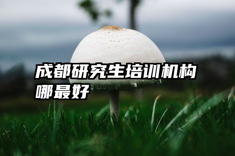 成都研究生培训机构哪最好