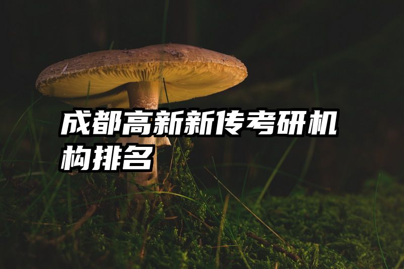成都高新新传考研机构排名