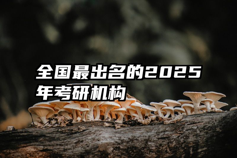 全国最出名的2025年考研机构