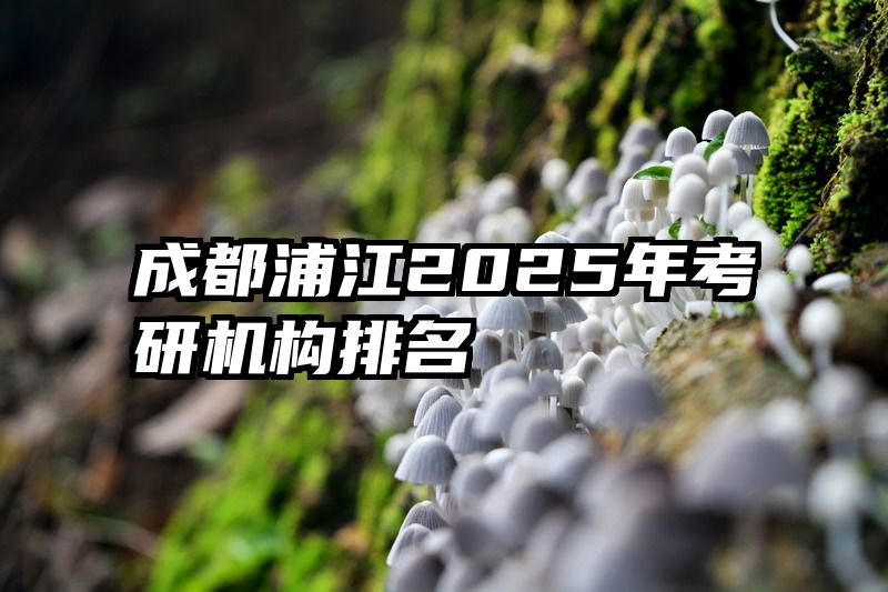成都浦江2025年考研机构排名