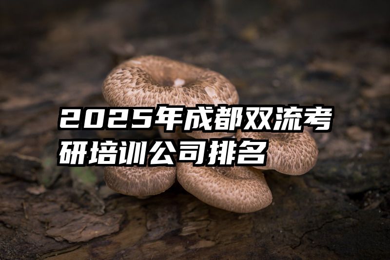 2025年成都双流考研培训公司排名