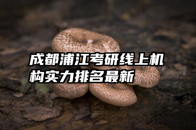 成都浦江考研线上机构实力排名最新