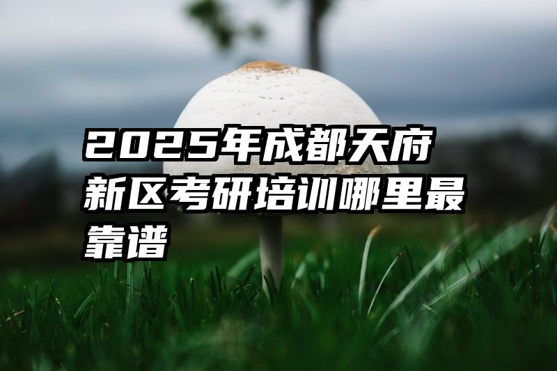 2025年成都天府新区考研培训哪里最靠谱