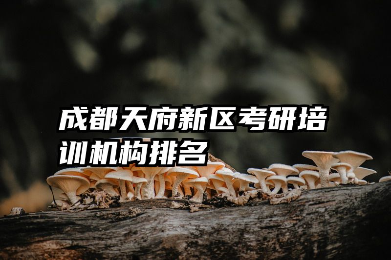 成都天府新区考研培训机构排名