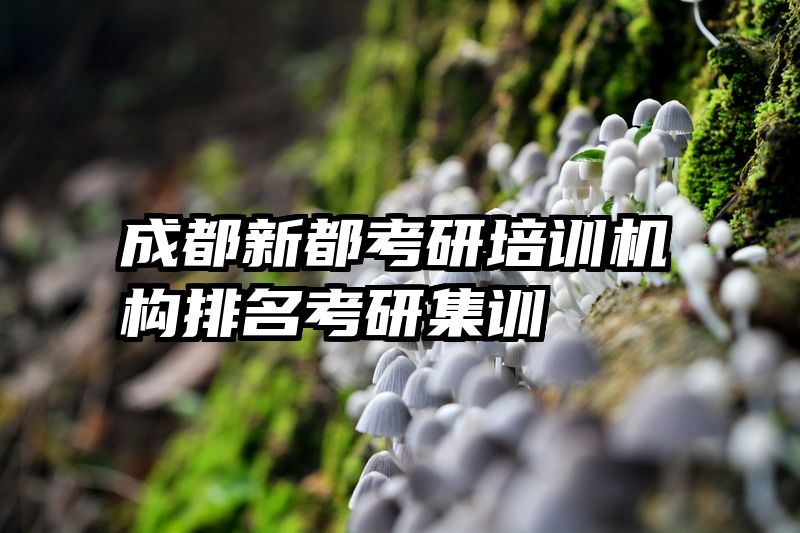 成都新都考研培训机构排名考研集训