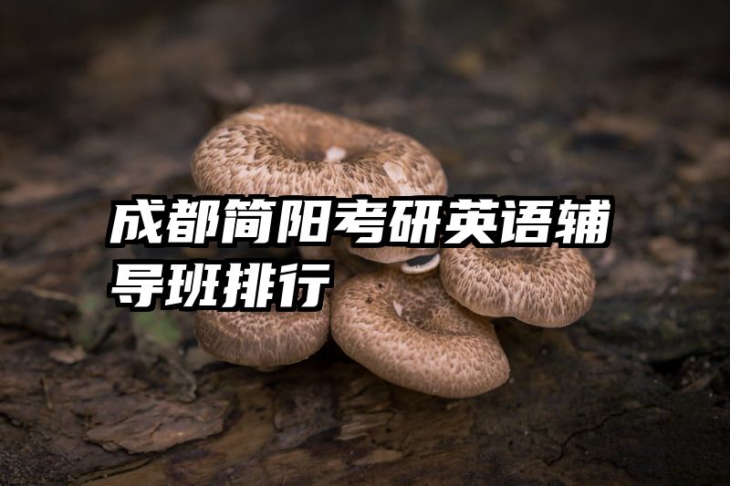 成都简阳考研英语辅导班排行