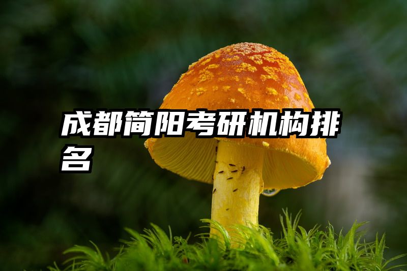 成都简阳考研机构排名