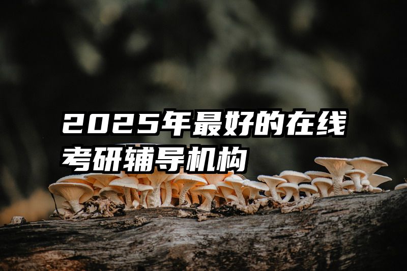 2025年最好的在线考研辅导机构