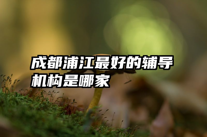 成都浦江最好的辅导机构是哪家