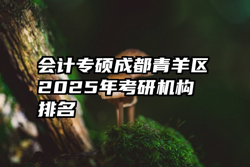 会计专硕成都青羊区2025年考研机构排名