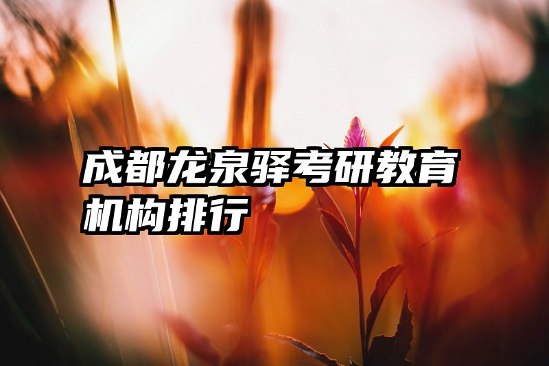 成都龙泉驿考研教育机构排行