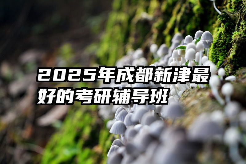 2025年成都新津最好的考研辅导班
